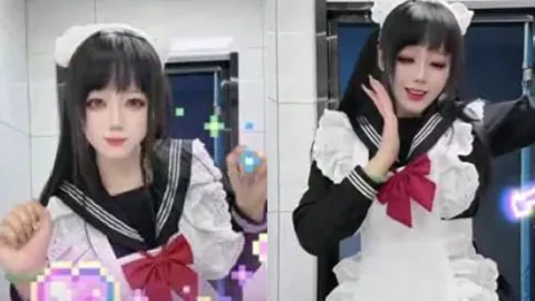 是什么鸽子