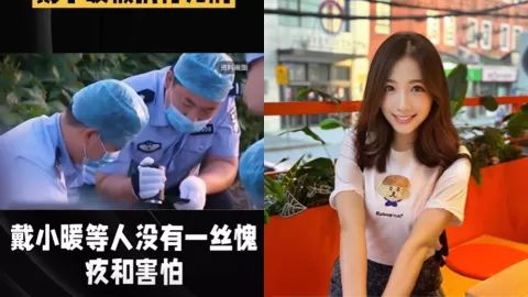 戴小暖