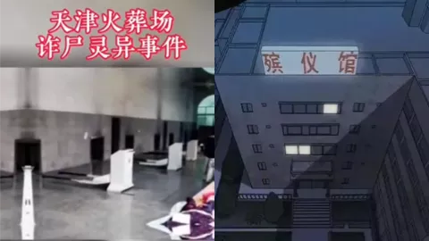 天津三义村