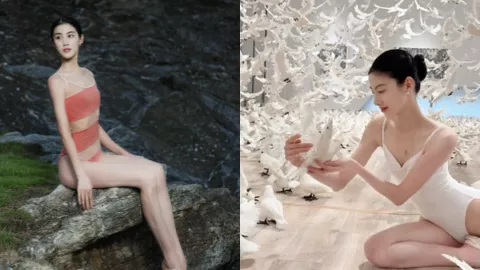 推特网红