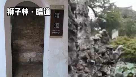 苏州狮子林