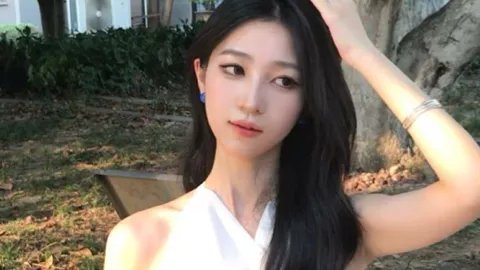 史宾格犬