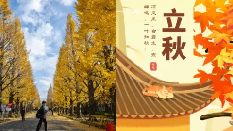 立秋遇天赦